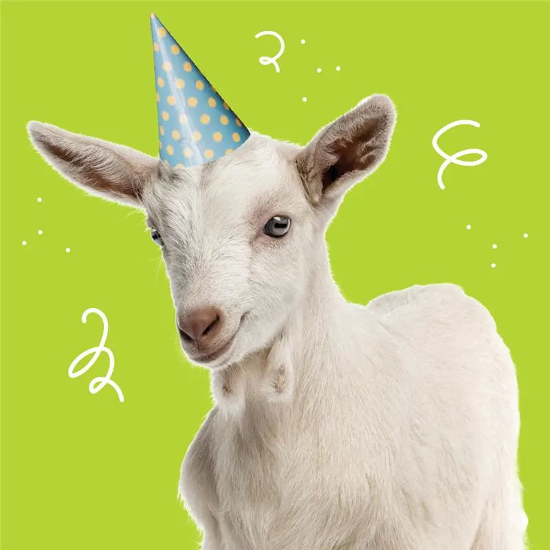 Celebrating 20 Years of Oxfam Unwrapped