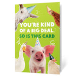 20th Anniversary Collector's Card