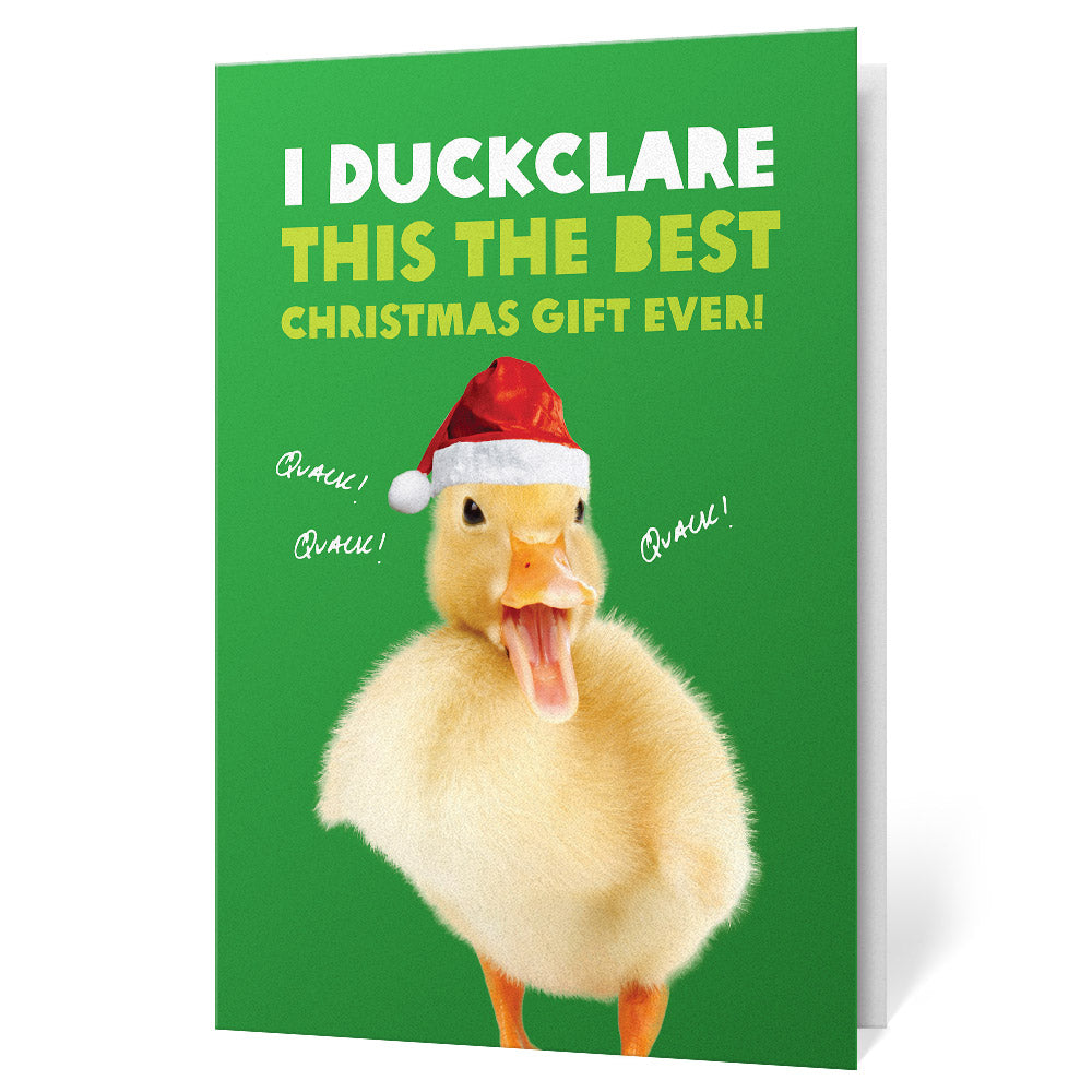 Christmas Duck