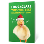Christmas Duck