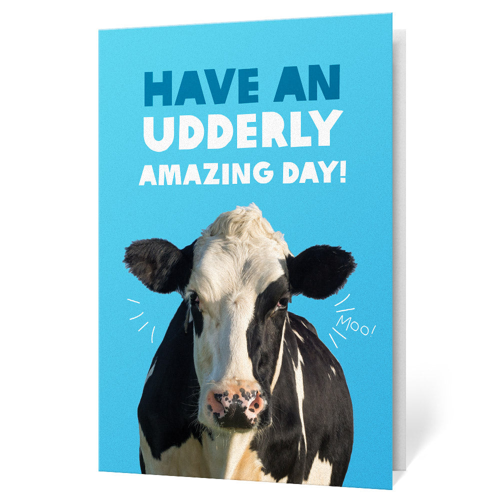 Cow