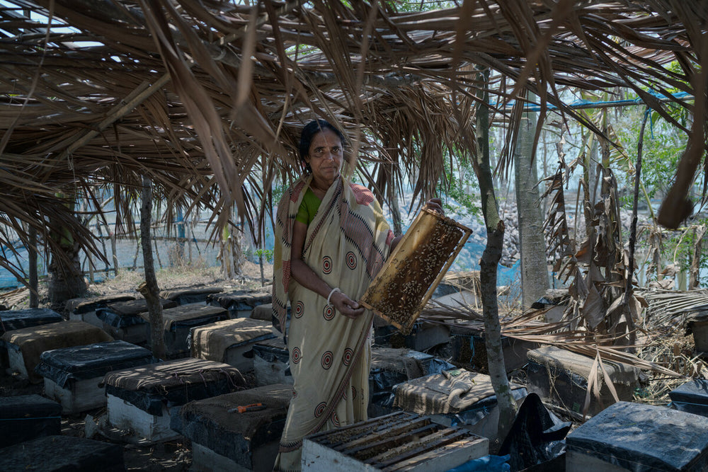 Sundarbans, Bangladesh: Koruna collects honey with her team in Sundarbans, the largest mangrove forest in the world. Photo: Fabeha Monir/Oxfam.