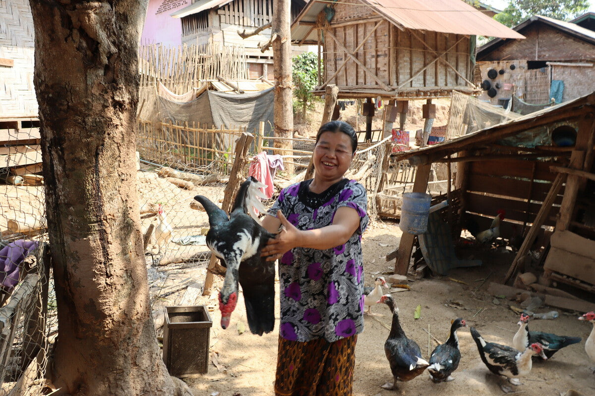 Cambodia: Chon (48) lives in Huay Thong village with her husband, Khamlei, and their fourteen-year-old daughter. She cultivates rice and raises chickens and hens to support her family and continue sending her daughter to school. She received support from Oxfam's Essential Cash and Livelihood Support to Vulnerable Communities in Lao PDR programme, which she used to buy ducks and chickens. The extra income she earns from her poultry and eggs help pay for school fees. Photo: Rachel Schaevitz/Oxfam