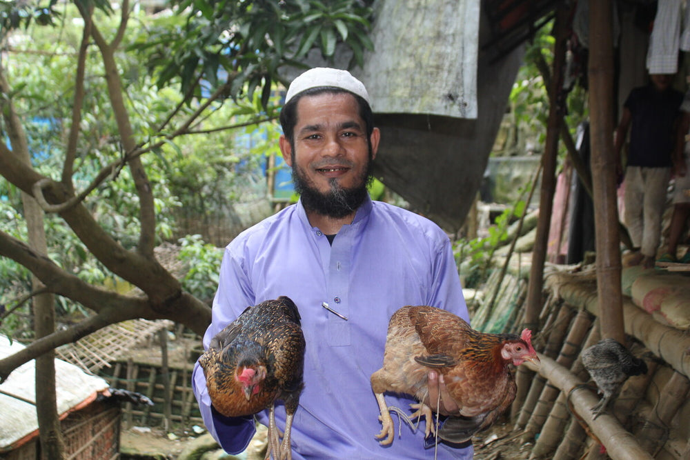 Bangladesh: Abdul Mannan is a Rohingya refugee living in Cox's Bazar with his family. He and his family used to rely completely on food rations and humanitarian assistance, until he underwent training on poultry rearing implemented by Oxfam partner, Mukti Cox's Bazar. He is now able to produce around 60 eggs per month for consumption and selling, which is helping to build his livelihood as well as improving nutrition for his family. Photo: Rafi Al Imran/Oxfam