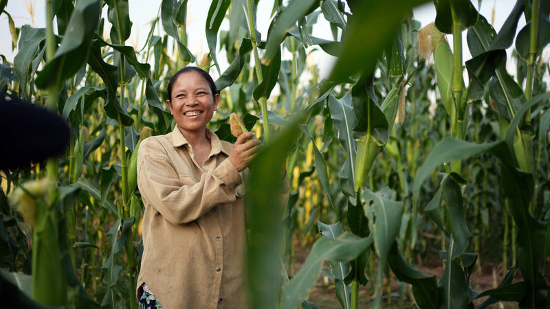 Cambodia: Sophea is 8 months pregnant and toils on the farm daily for a basic income. Photo: Aimee Han/Oxfam