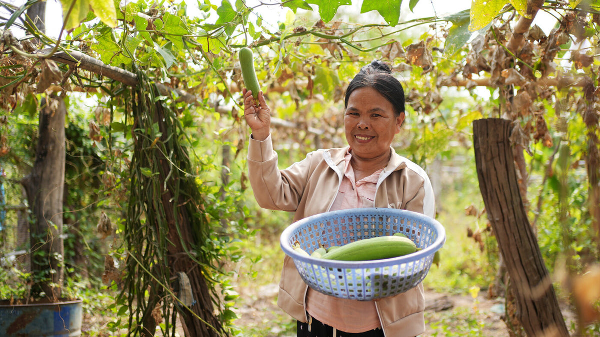 Cambodia: Loeur Sin is a farmer who has improved her planting techniques and income through training with Oxfam local partner My Village (MVi). Photo: Aimee Han/Oxfam. This project is supported by the Australian Government through the Department of Foreign Affairs and Trade